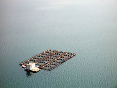 Fish farm in Bileća