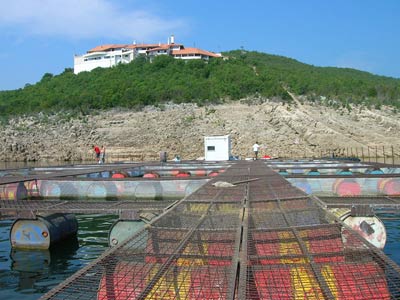 Fish farm in Bileća
