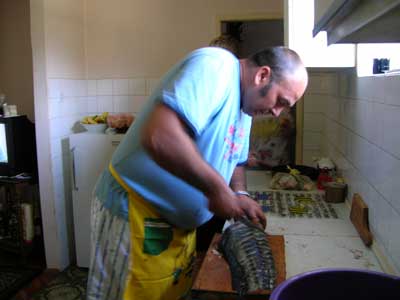 Catfish in Bileća.