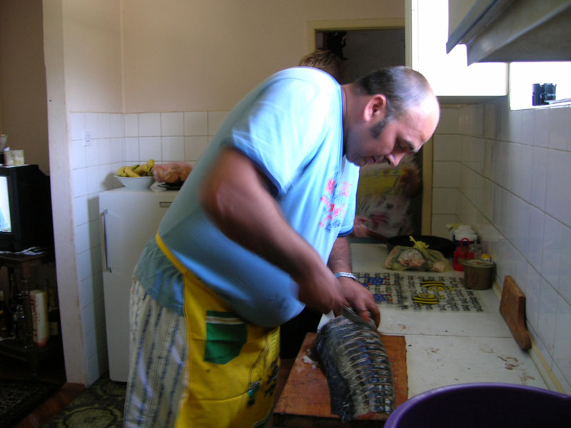 Catfish in Bileća.