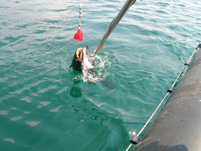 Fishing in Bileća.