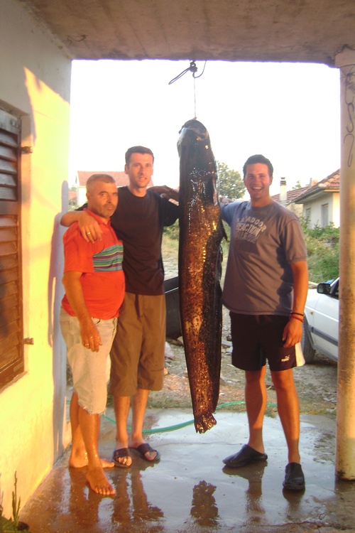 Big Fish Party!